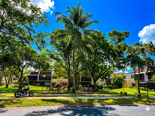 Raintree Forest Condo photo 2